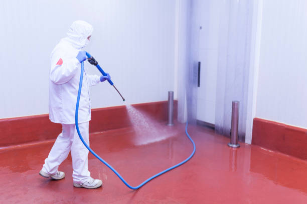 Best Sidewalk and Walkway Pressure Cleaning in Dayton, TX