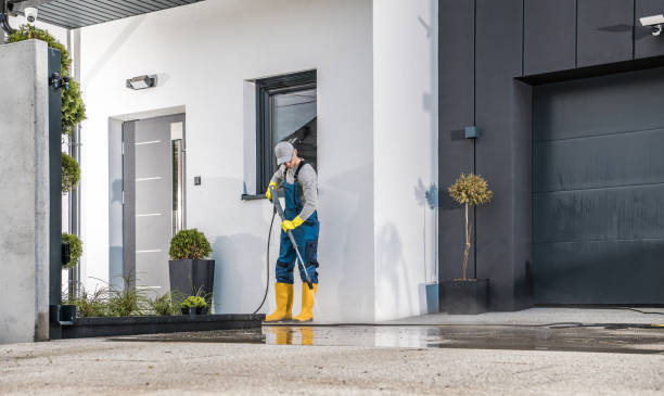 Best Driveway Cleaning and Restoration in Dayton, TX